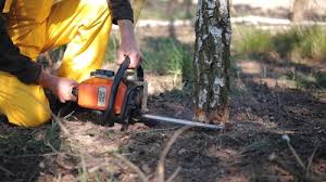 Best Commercial Tree Services  in Gervais, OR