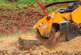 Best Aeration Services  in Gervais, OR